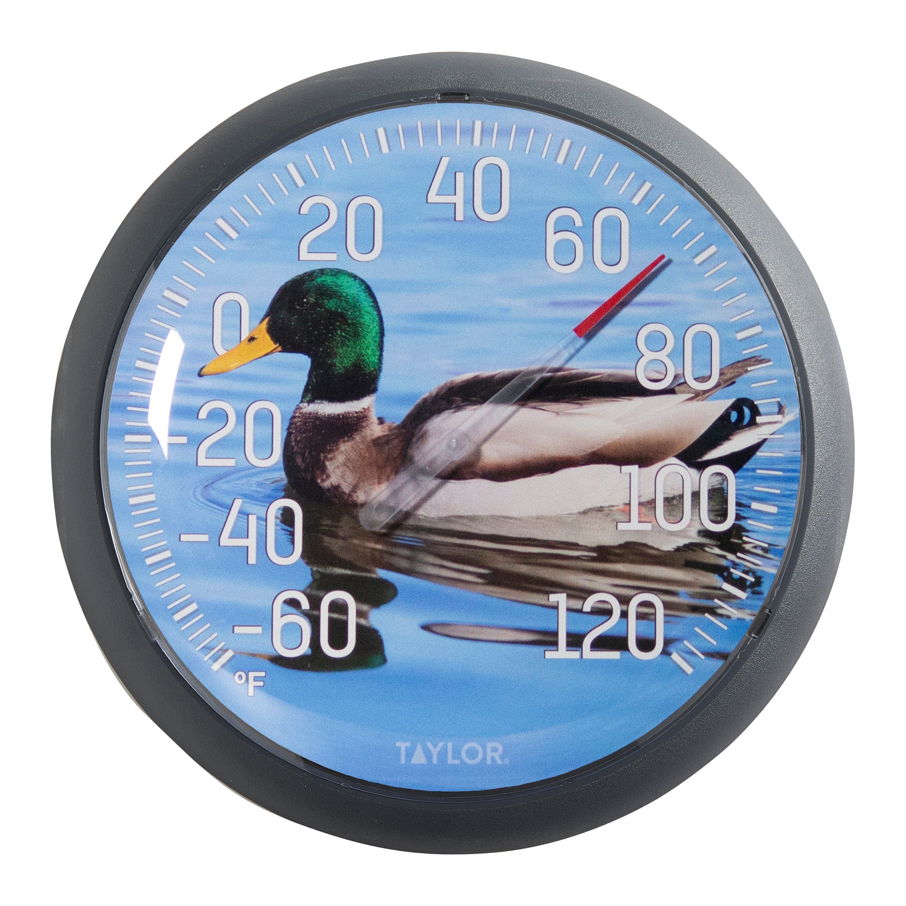 13.25" Mallard Duck Thermometer