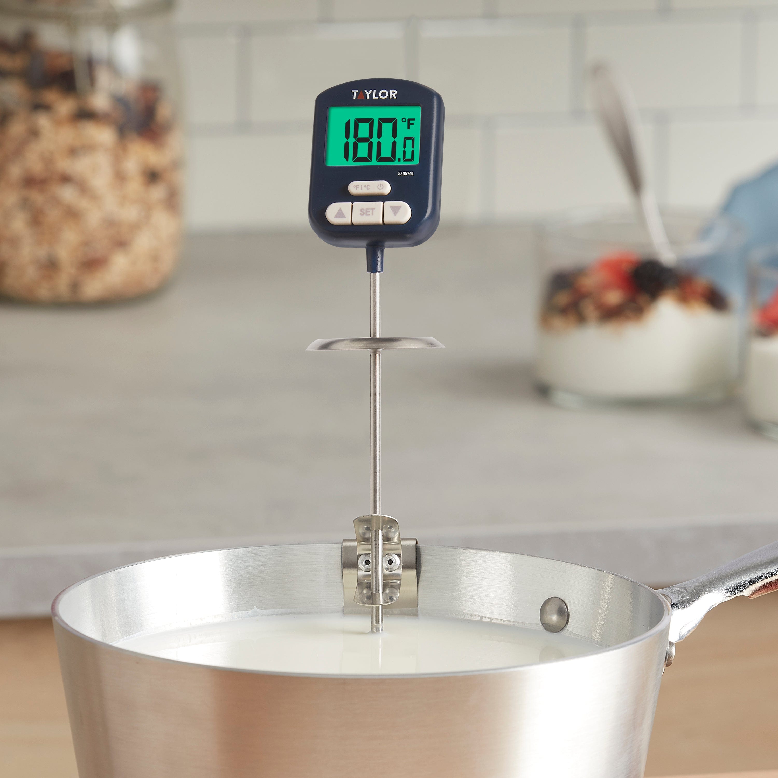 Taylor Programmable Digital Probe Kitchen Meat Cooking Thermometer with  Timer