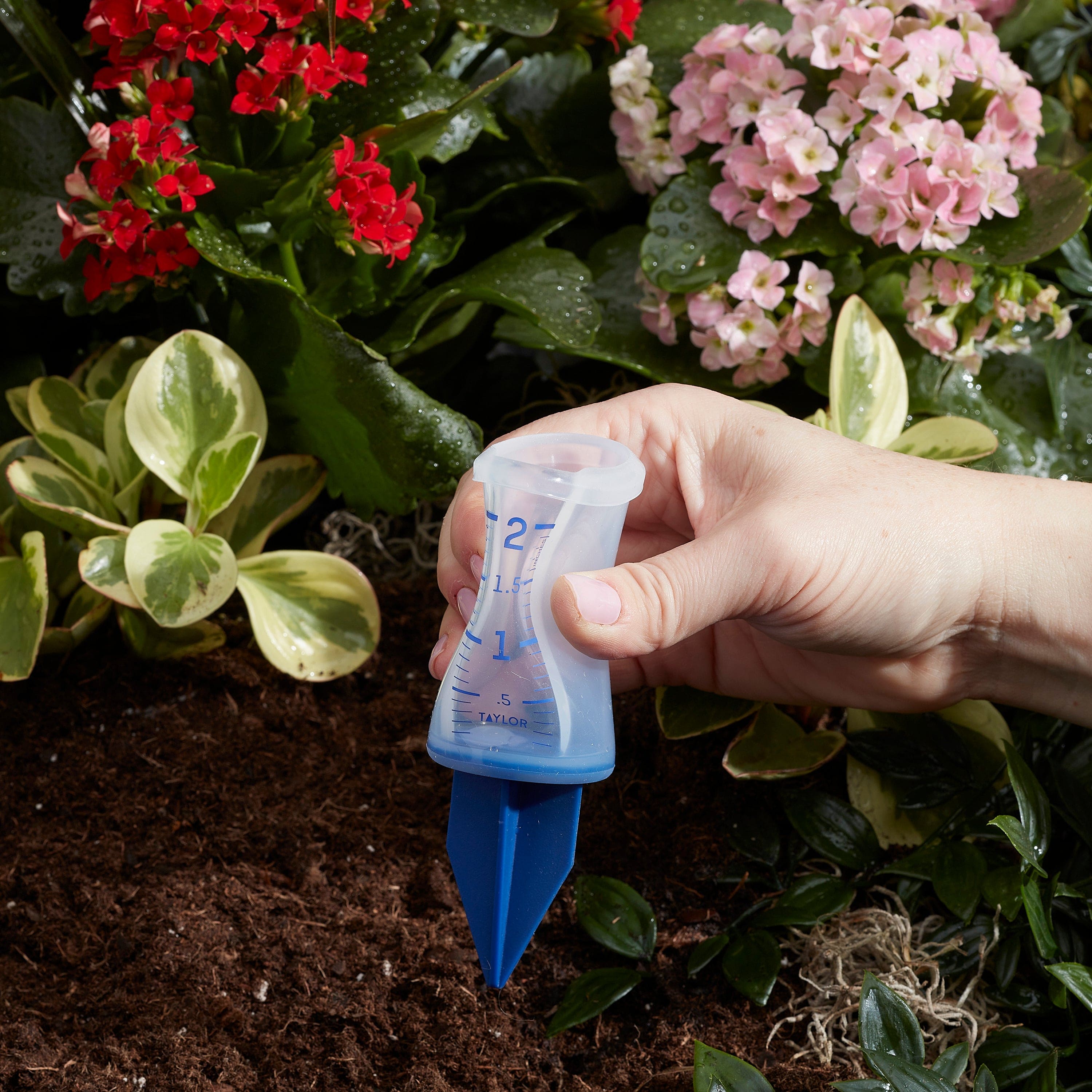 2" Silicone Sprinkler Gauge