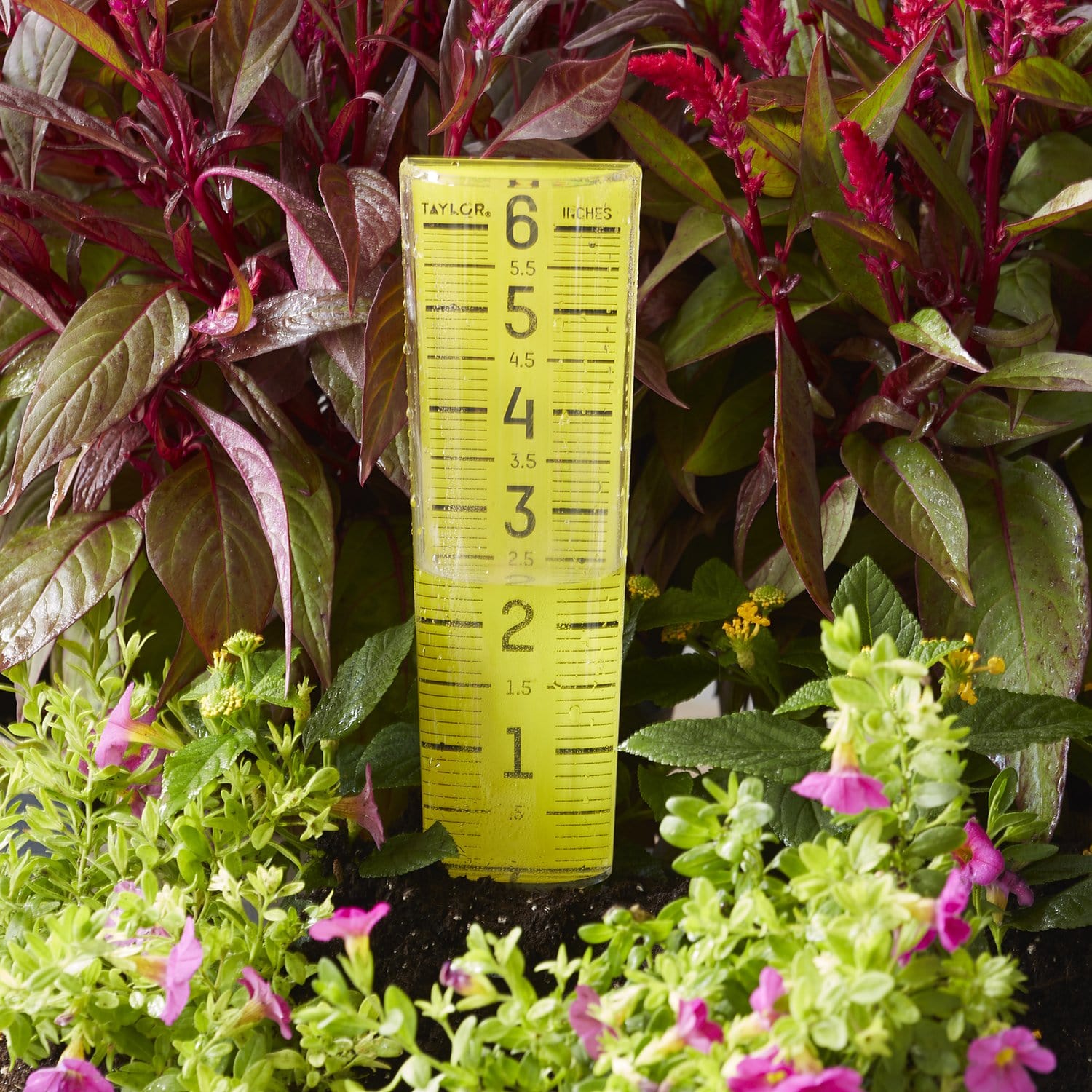 ClearVu 6" Capacity Rain/Sprinkler Gauge