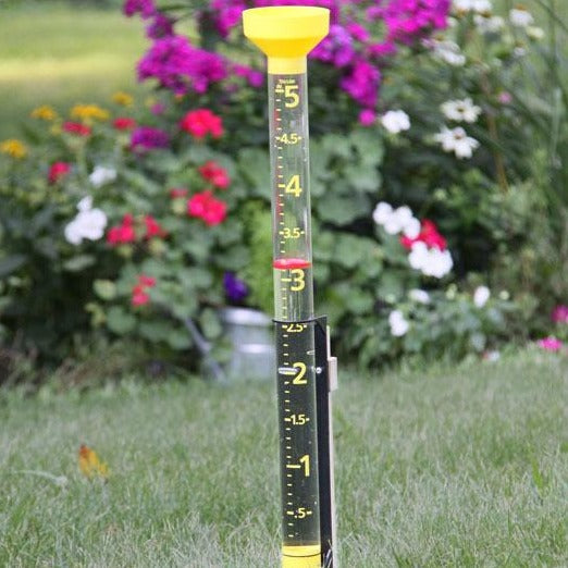 Jumbo 5" Capacity Rain Gauge