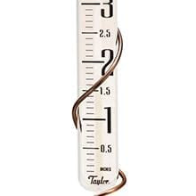 27" Glass Rain Gauge