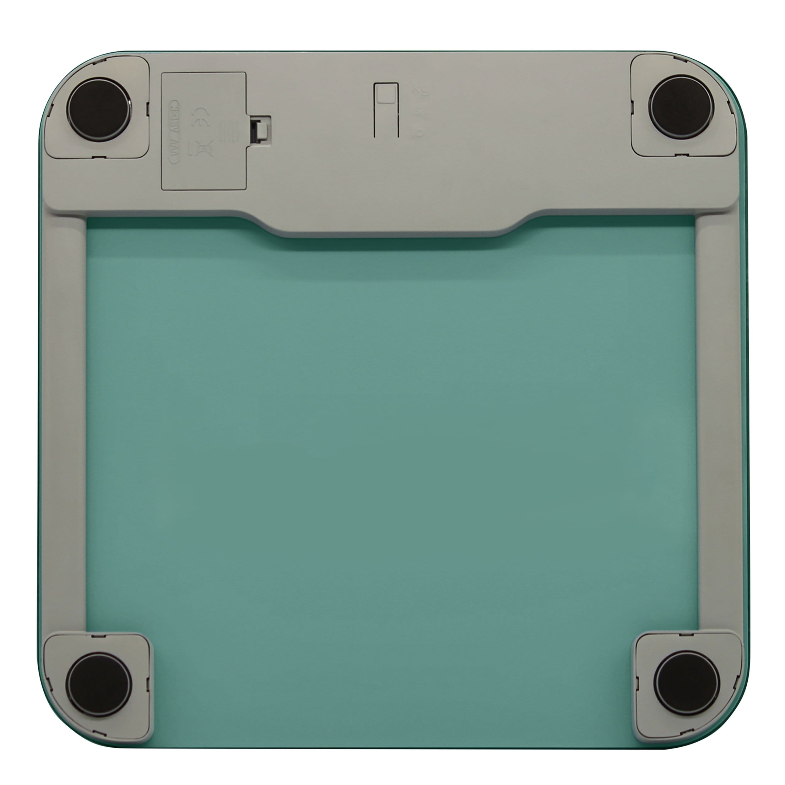 Digital Glass Scale , Seafoam Green – Taylor USA