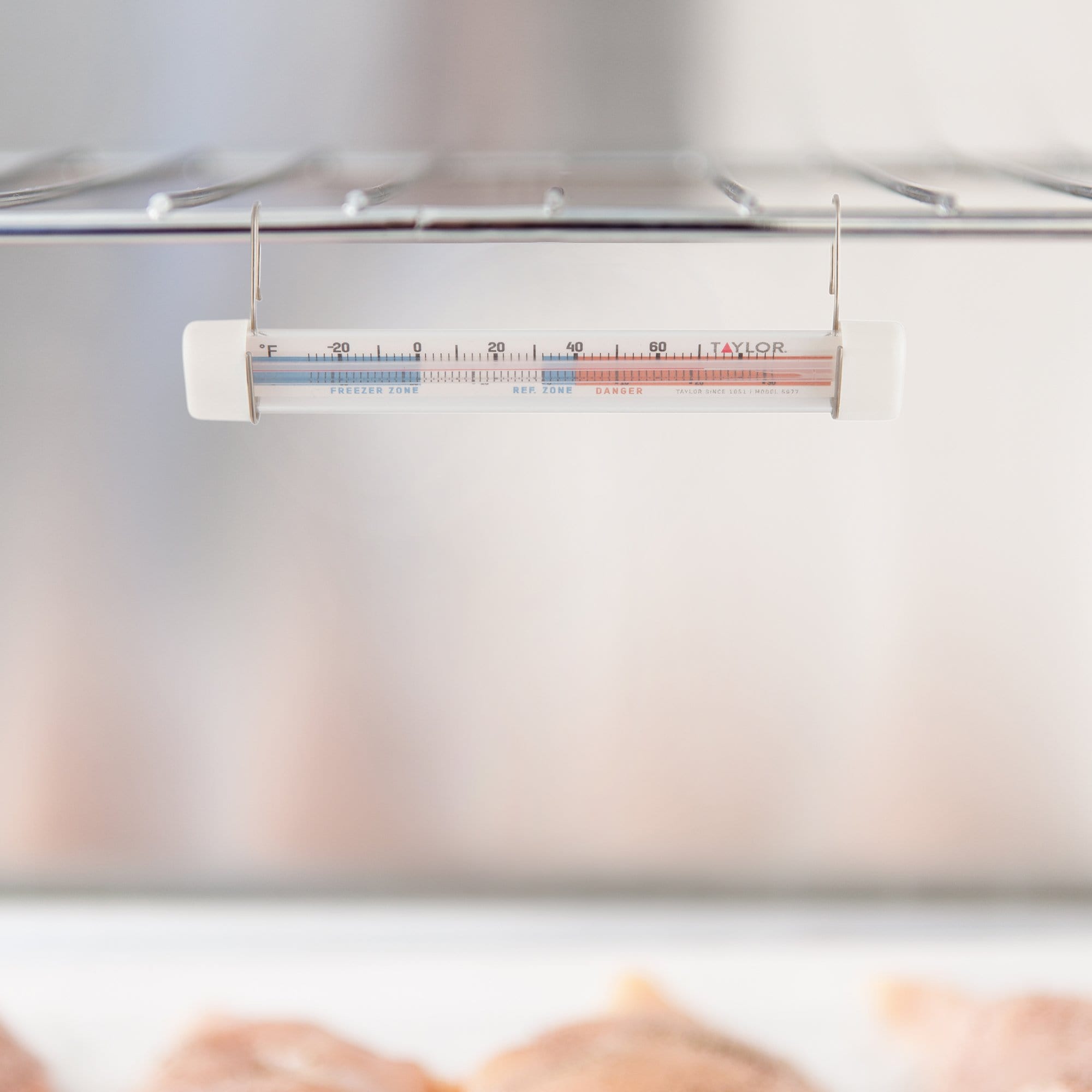 Fridge/Freezer Thermometer