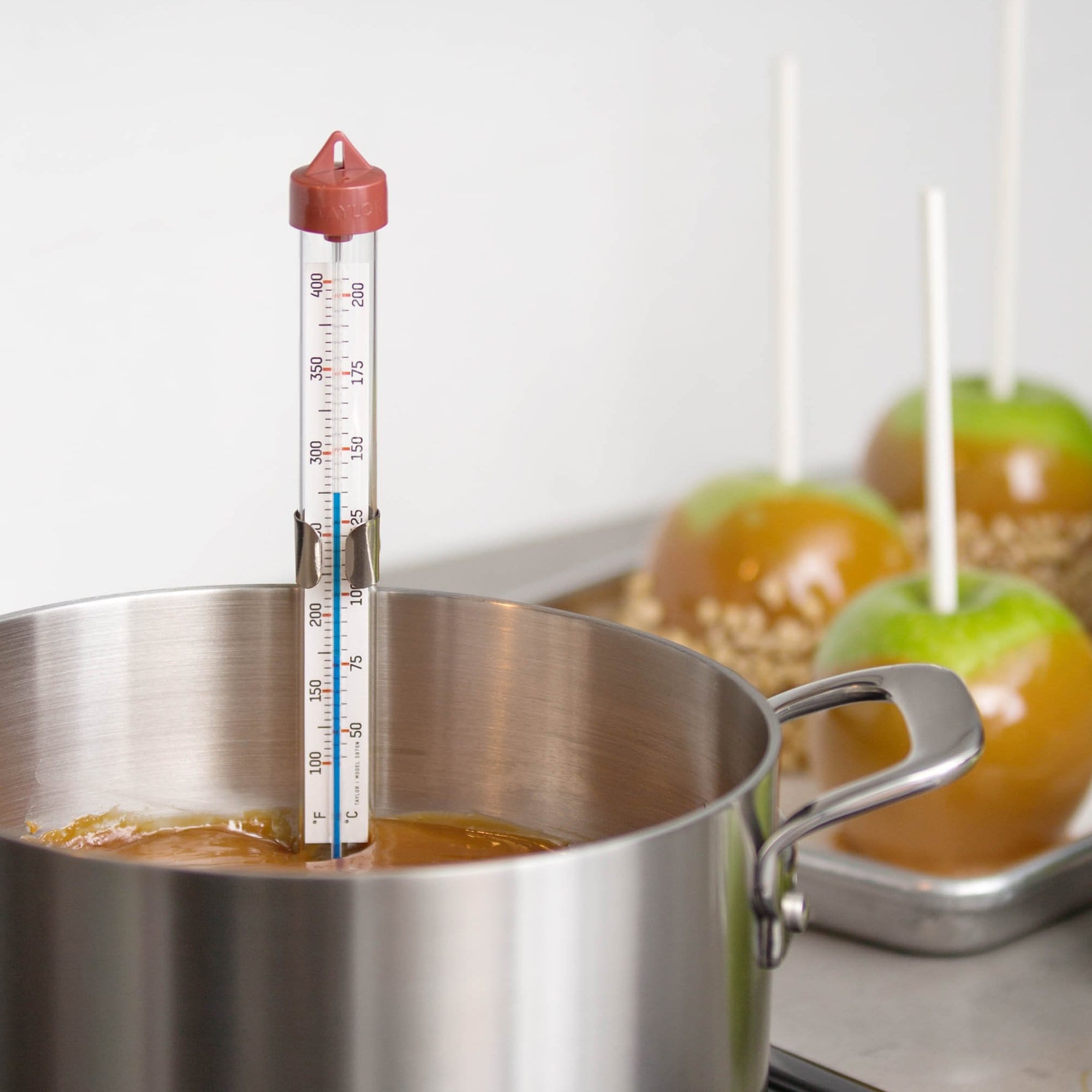 CDN Candy & Deep Fry Thermometer