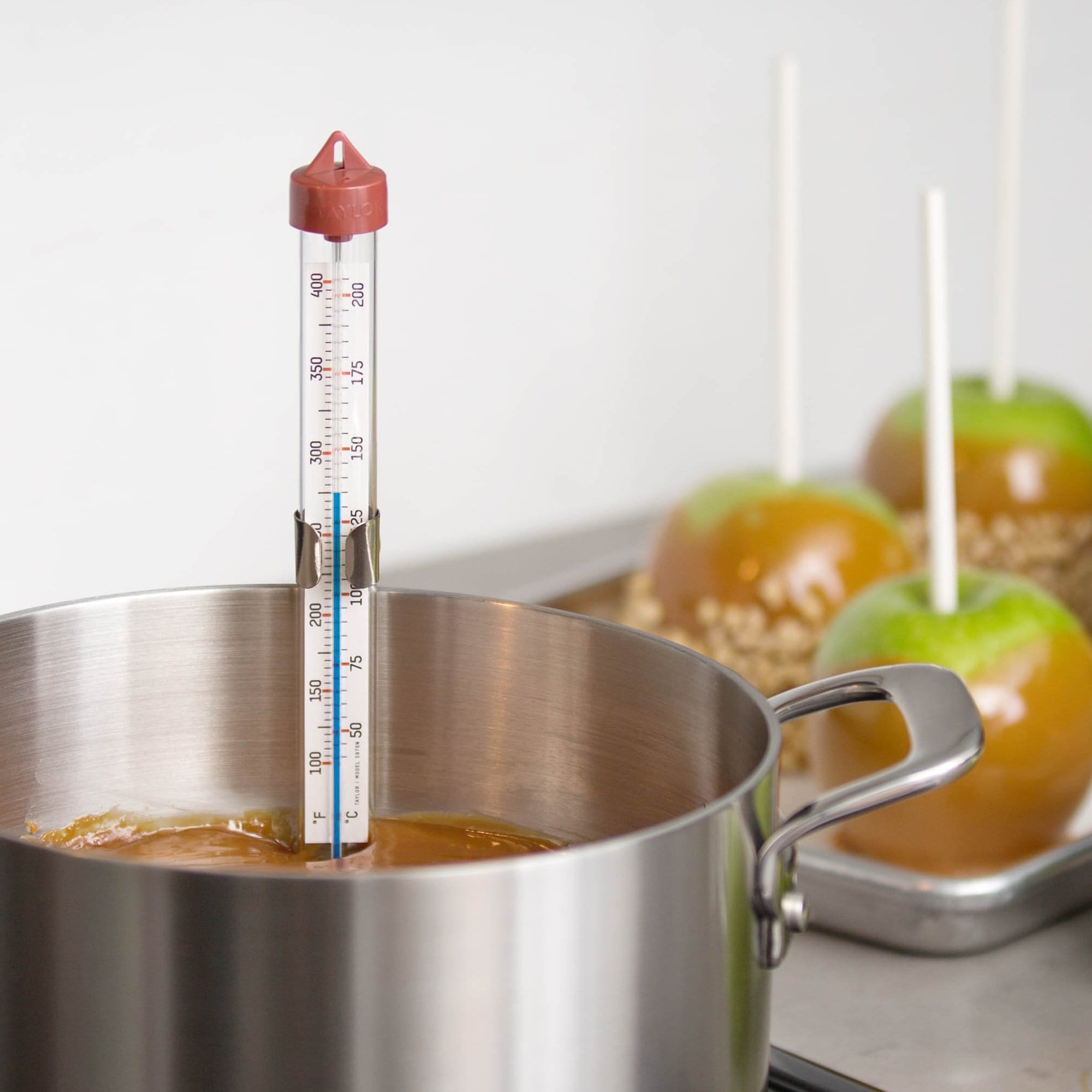 Candy/Deep Fry Thermometer