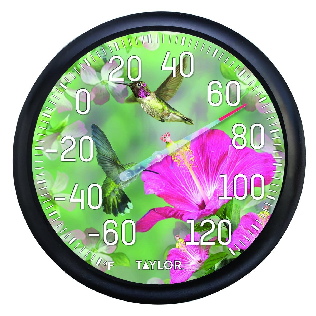 SPI Home 33314 Hummingbird Wall Mounted Thermometer