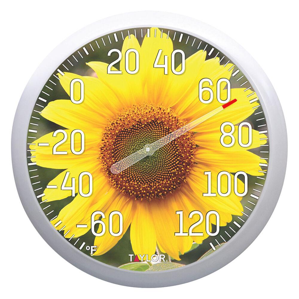 http://www.taylorusa.com/cdn/shop/products/6777_sunflower.jpg?v=1610738556