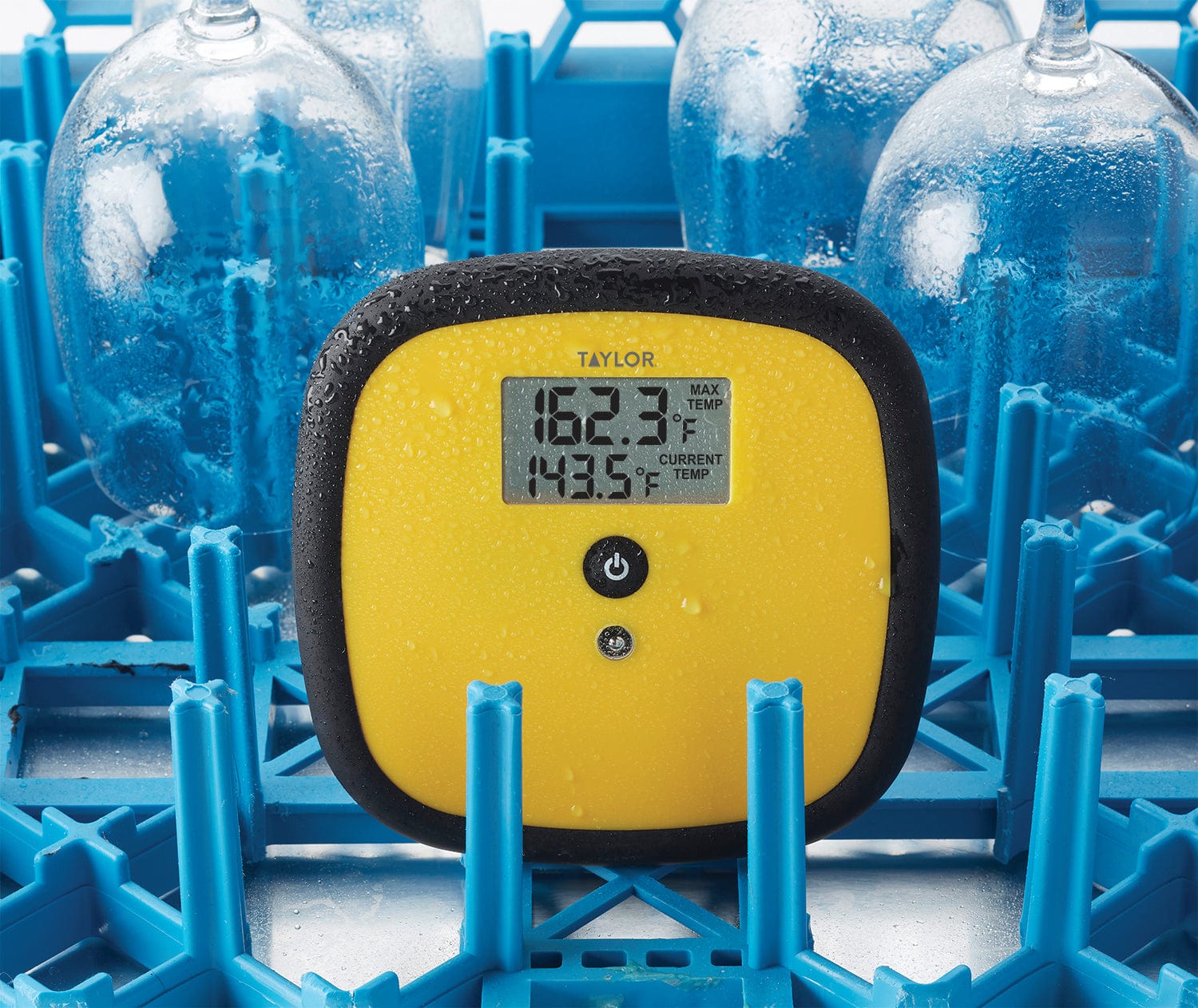 Dishwasher Thermometer – Taylor USA