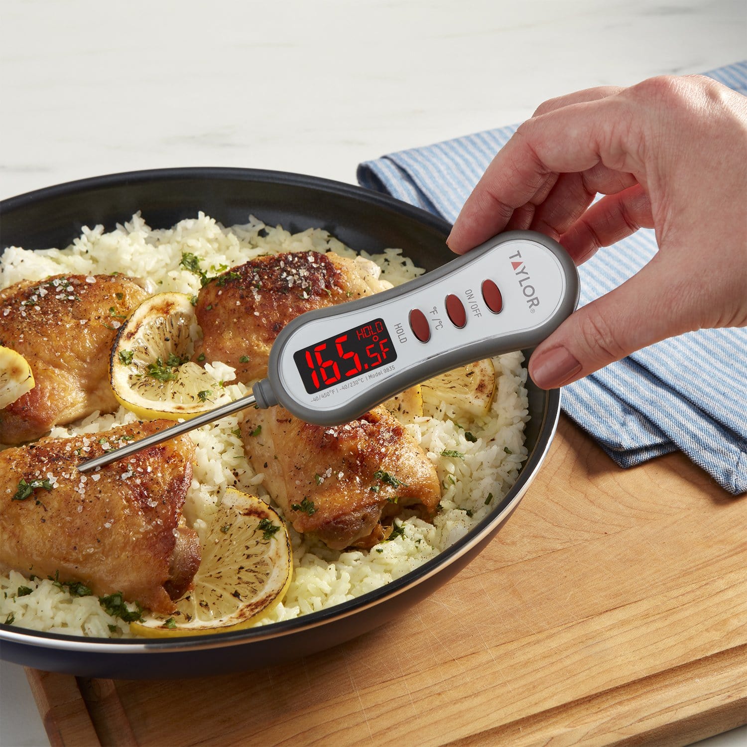 LED Readout Thermometer