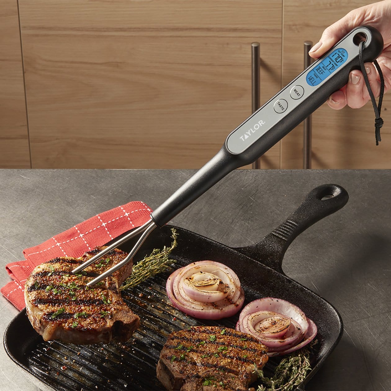 Digital Fork Thermometer