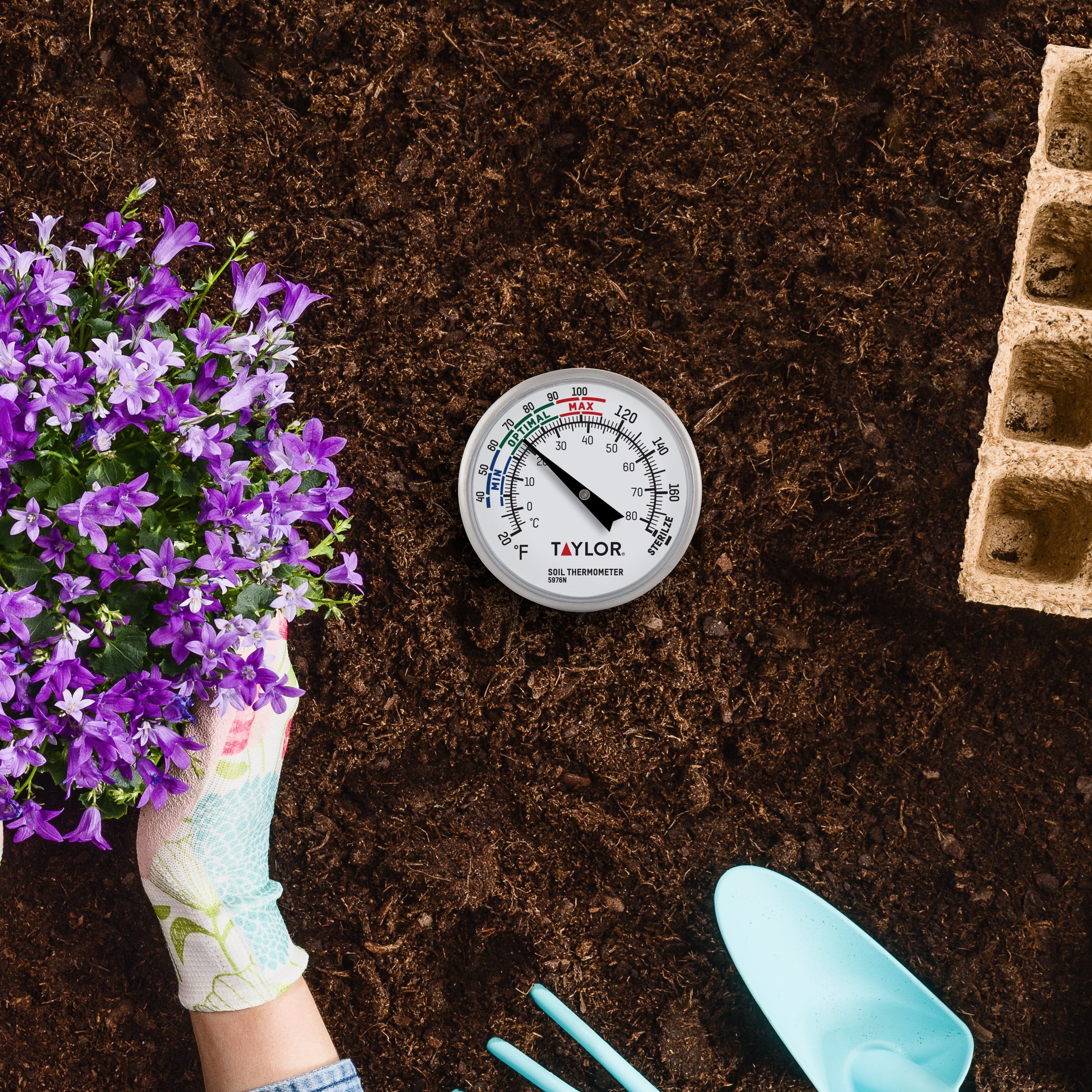 Termómetro de temperatura del suelo