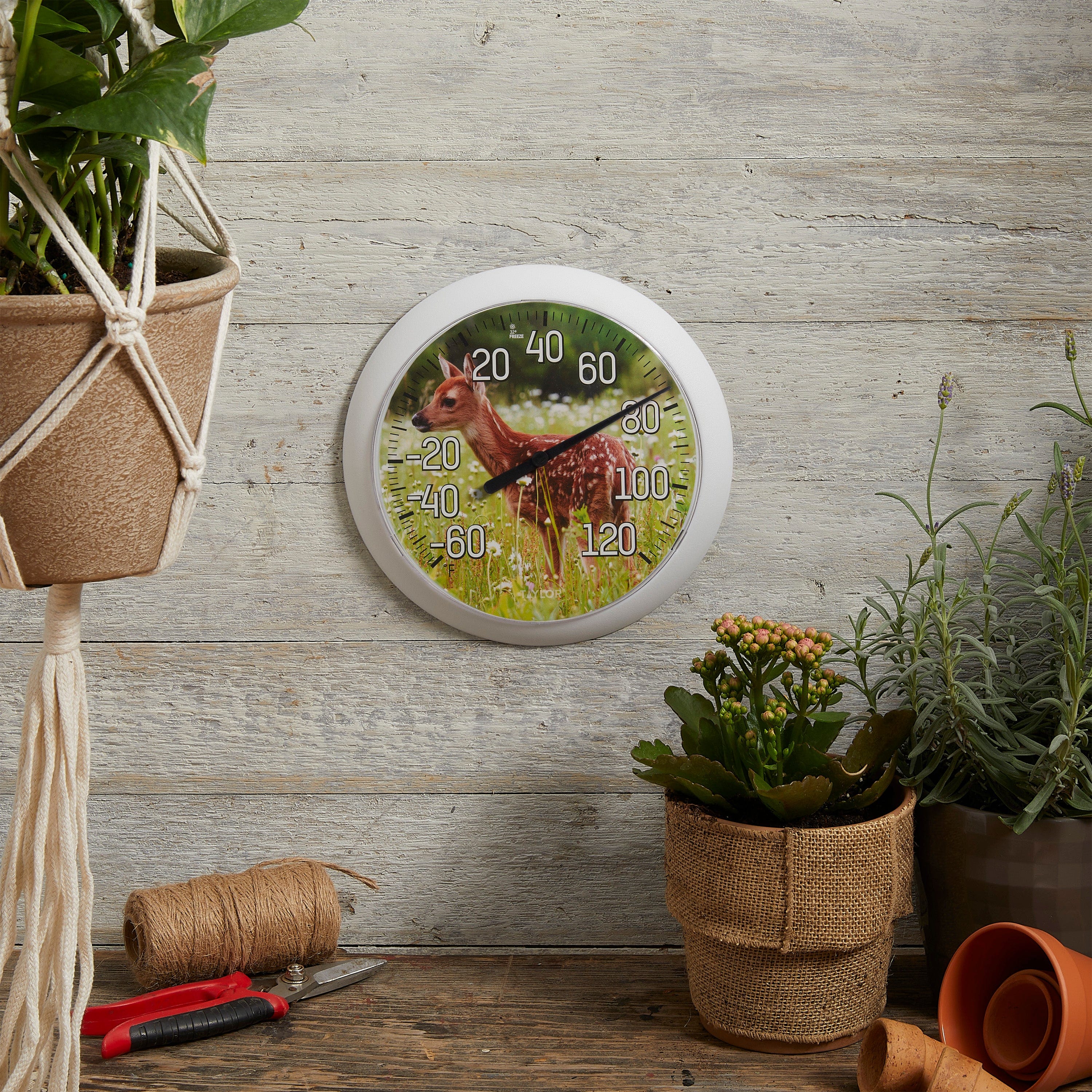8.5" Sweet Fawn Indoor Outdoor Dial Decorative Thermometer