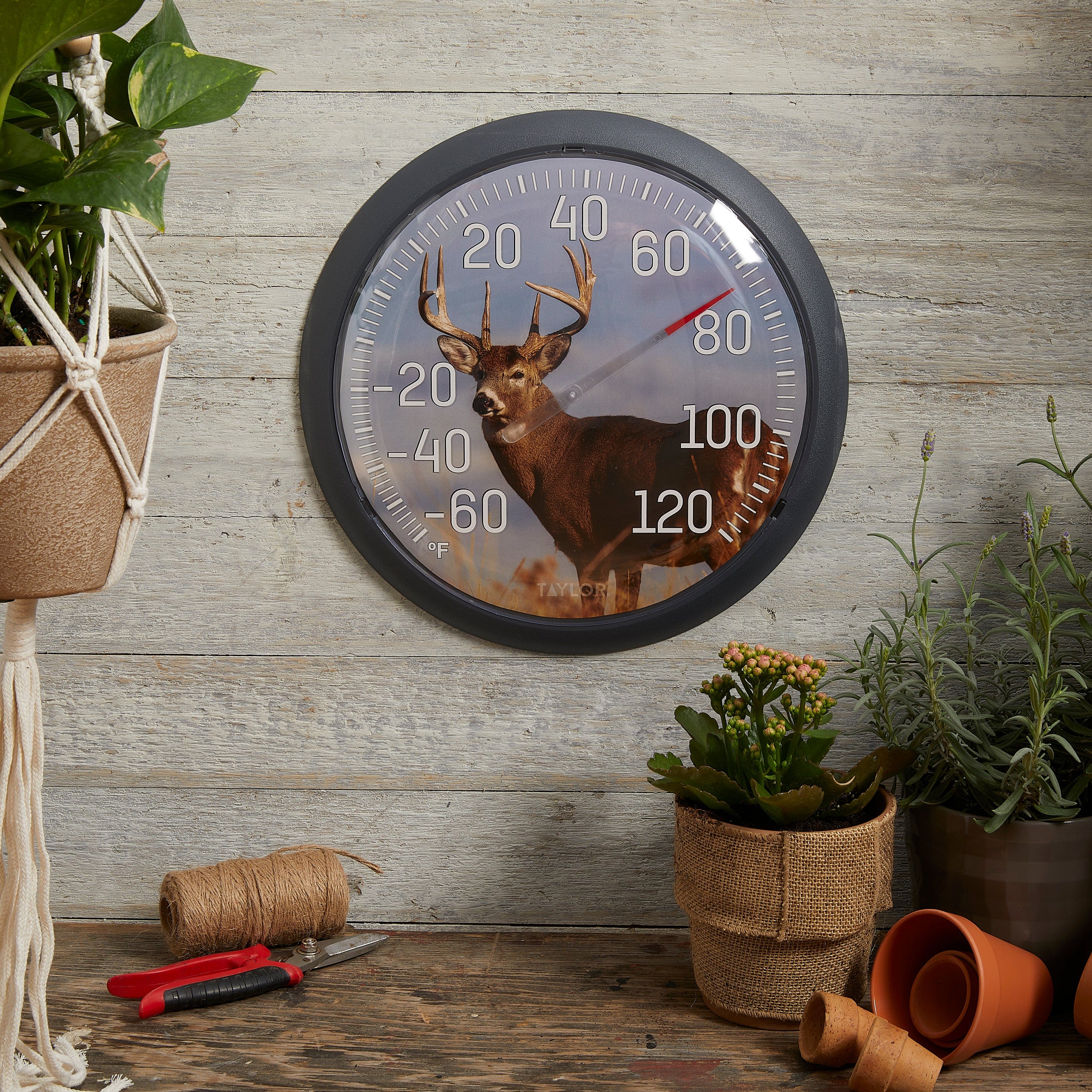 13.25" White Tail Deer Thermometer
