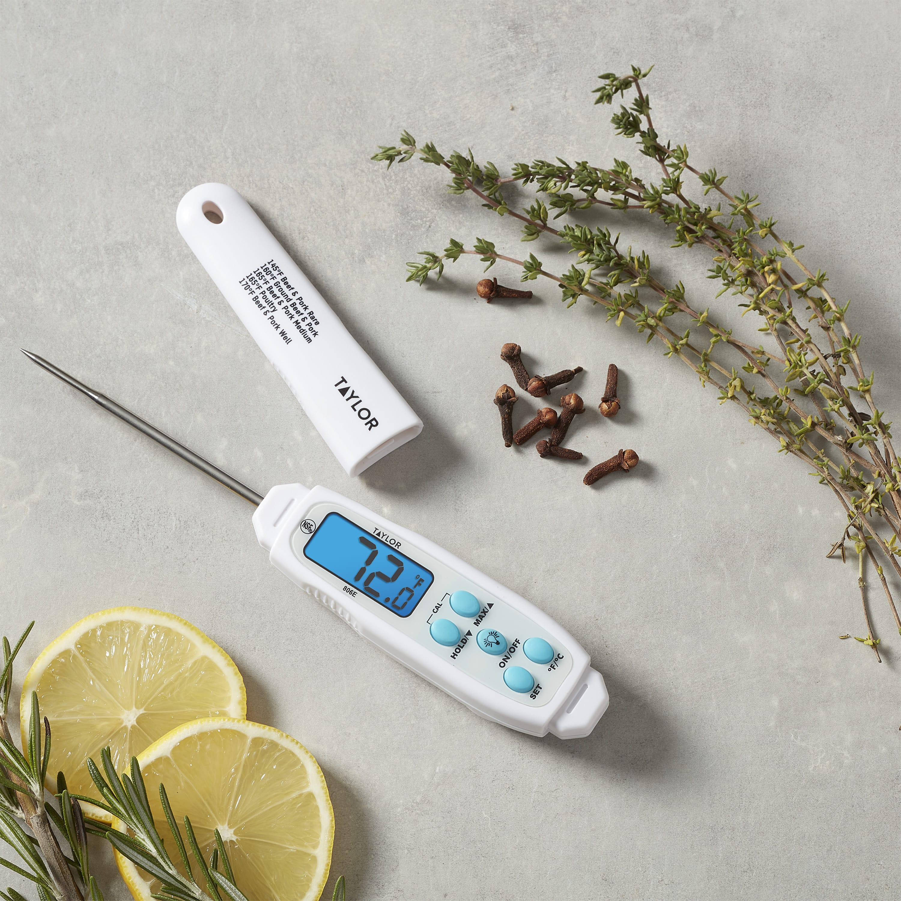 Digital Waterproof Thermometer