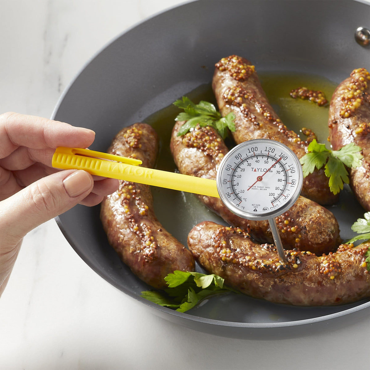 Themometer Cooking Commercial Kitchen Thermometers
