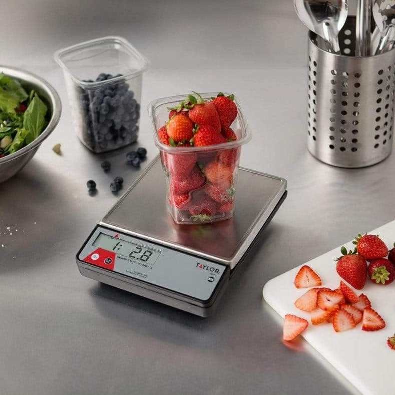 Analog Kitchen Scale Taylor TE10FT 11-Pound Commercial Digital